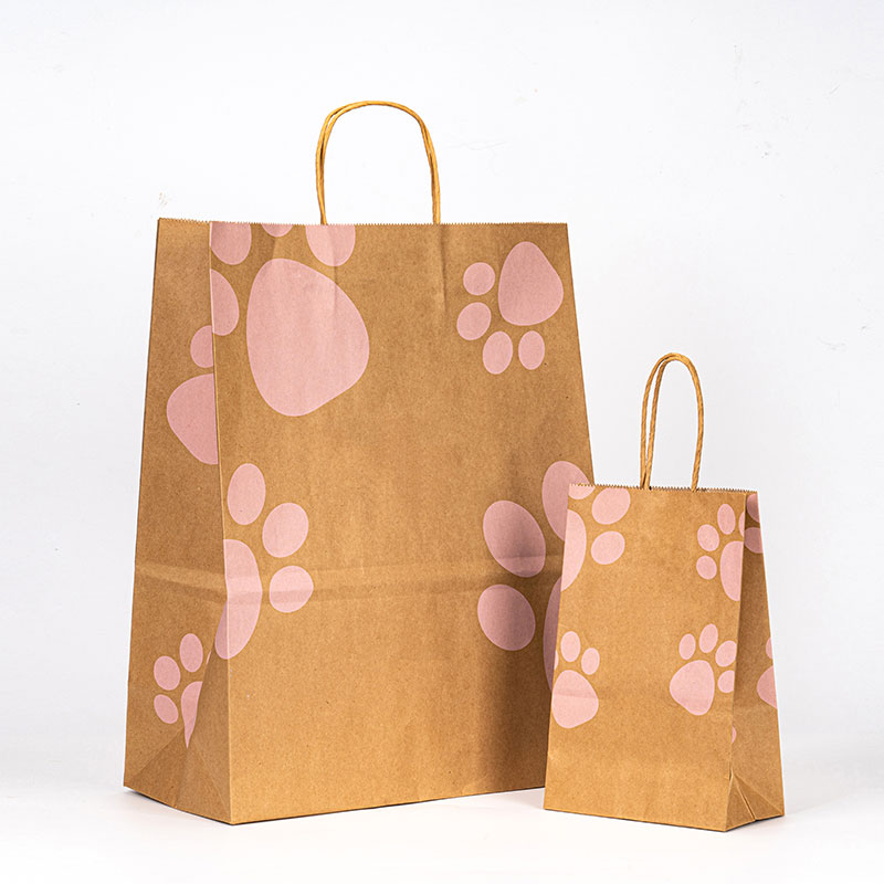 Túi bao bì giấy mua sắm kraft